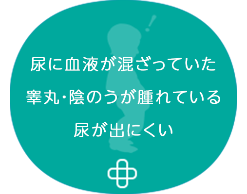 尿に血液が混ざっていた 睾丸・陰のうが腫れている 尿が出にくい